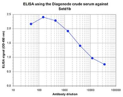 ELISA: SET1B Antibody [NBP3-18682] - Figure 1. Determination of the titer To determine the titer, an ELISA was performed using a serial dilution of the antibody directed against mouse SET1B . The plates were coated with a mix of the peptides used for immunization of the rabbit. By plotting the absorbance against the antibody dilution (Figure 1), the titer of the antibody was estimated to be 1:8,400.